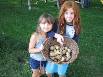 20090813_potato harvest_1.JPG